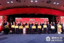岳阳农担再接再厉确保新年工作开好局图片