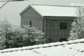 多地暴雪，冷到破纪录，4月“俯冲式降温”正常吗？专家解读图片