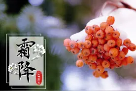 “霜降见一鲜，一年病不沾”！明天霜降，“1鲜”指啥？别不懂吃图片