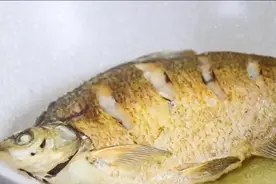 红烧鱼最好吃的做法，教你这样做，鱼肉鲜嫩无腥味，营养又美味图片