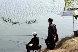 夏季钓鱼非深水不可？只要“时机”选对，浅水比深水钓得更多图片