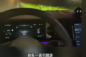 疑似蔚来突然爆出故障码 挂不上P档 刹车一松就前冲图片