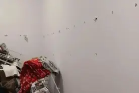 被吹疯的金属衣柜，最后还是翻了！图片