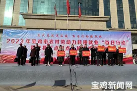 宝鸡农村劳动力转移就业“百日行动”启动图片