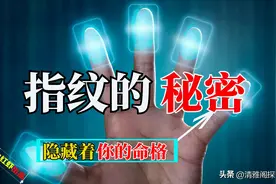 人类指纹奥秘被科学家破解，竟是基因的诅咒，斗与簸箕有何秘密？图片