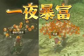 《王国之泪》「指南」地图不会告诉你的“宝藏地点”图片