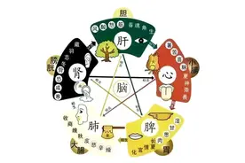 中医五脏辨证！（值得借鉴）图片