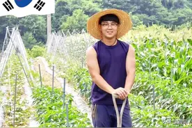 生存空间那么狭小的韩国，为何还在拼命坚持稻米自给自足图片