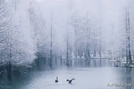 心灵日记：冬日畅想图片