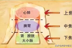 中焦一通，百病不生，理中丸一方多用，温肺脾之阳，补一身正气图片