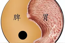 升阳是最好的补脾方，一招助你将寒湿“连根拔起”，补足后天之本图片