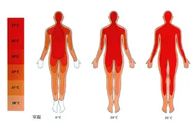 你知道人体温度为什么是37℃吗？揭开人类温度的生理谜团！图片