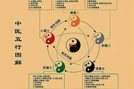 我对中医和西医的理解图片