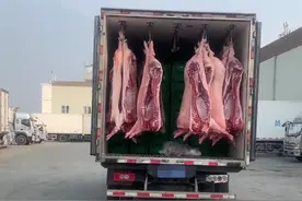 急需车辆，有冷藏车的师傅欢迎咨询，高运价一装一卸运费现结图片