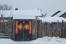 在青岛，其实，现在没有东北老铁已经是万万不行的图片