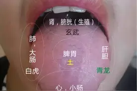 舌诊一看就明了图片