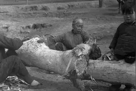 1942河南大饥荒…哀鸿遍野已经不足以形容当时的境况了…图片