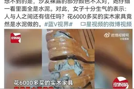 女子6000元买实木沙发内部全是水泥 网友：太离谱了图片