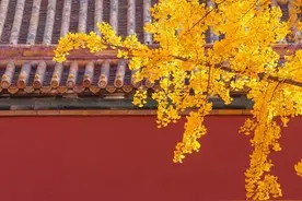 原来只有他们才曾在紫禁城中举行过大婚庆典图片