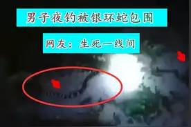广东男子夜钓遇“陆地毒王”，被6条银环蛇包围，遇到毒蛇该咋办图片