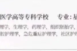 向琴琴的成功，才是这个社会的不公图片