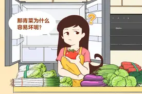 青菜这样放冰箱，反而烂得更快‼️图片