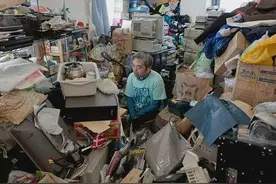 蜇居一族的生存世界图片