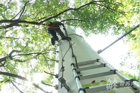 高温下的坚守：电信基站建设维护人员挥洒汗水 只为5G信号"满格"图片