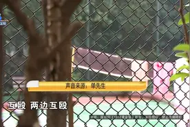 拿着一把女儿的头发，她上来就哭了...起因是一只羽毛球图片
