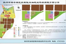 杨寿镇控规局部微调图片
