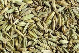 小茴香的成分及利用价值图片