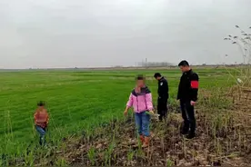 岳阳人注意 打芦笋、采藜蒿有风险，安全隐患莫忽视！图片