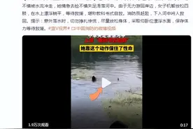 洗衣女子失足坠河机智躺平自救，堪称教科书式自救图片