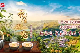 “面色红润”，香甜多汁，天津杨家峪的红香酥梨，尝尝？图片