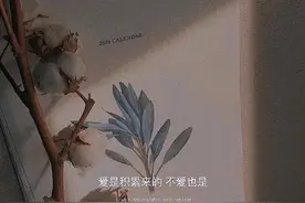 只要好好活着，就会有好事发生图片