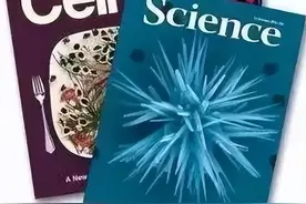 研究生开组会，要怎么讲文献？图片