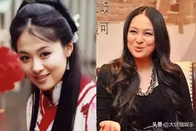 别说女星怀孕只胖肚子了，这10位女神，也没逃开“胖出一个自己”图片