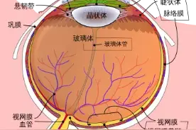 为什么珍珠奶茶里最后的珍珠很难被吸上来啊喂？| No.346图片
