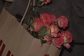 变心也很难发现的星座，善于伪装，即便没有感情也能假装浓情蜜意图片