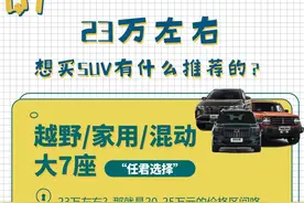 有问有答｜冒险家：豪华品牌，2.0T+8AT，390N·m！不到25万就能买图片