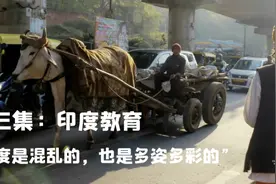 《他乡的童年》之印度现实版“起跑线”教育给我的几点启发图片