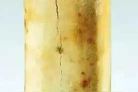 我的经历与教训（十）图片