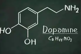 穷人沉迷多巴胺，富人追求内啡肽，是真的吗？图片