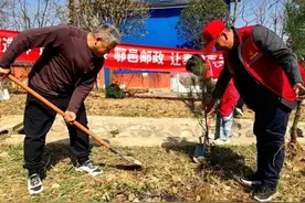 又是一年春草绿，正是植树好时节！图片