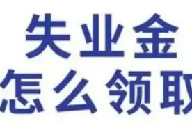 失业金怎么领取？千万不要错过，这一大笔数目的钱可以马上拿到！图片