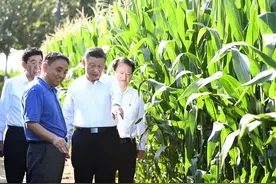 跟着总书记看中国丨吉林黑土地上筑起中国大粮仓图片