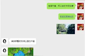 不走了，就留在新都图片