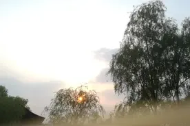 苦难的篇章——《约伯记》图片