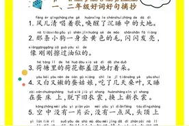 每日晨读|一、二年级优美句子好词好句摘抄（67句）图片