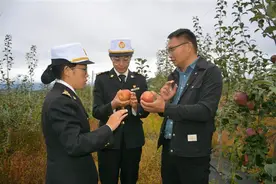 丽江海关助力小凉山“糖心”苹果实现首次出口图片